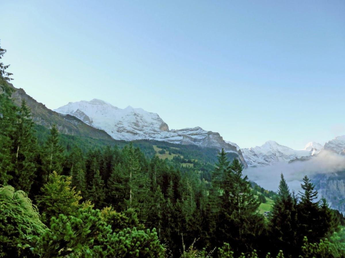 Chalet Zwaergli By Interhome Wengen Zewnętrze zdjęcie