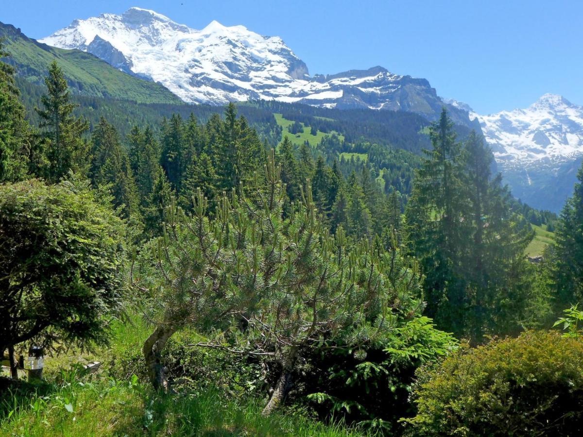 Chalet Zwaergli By Interhome Wengen Zewnętrze zdjęcie