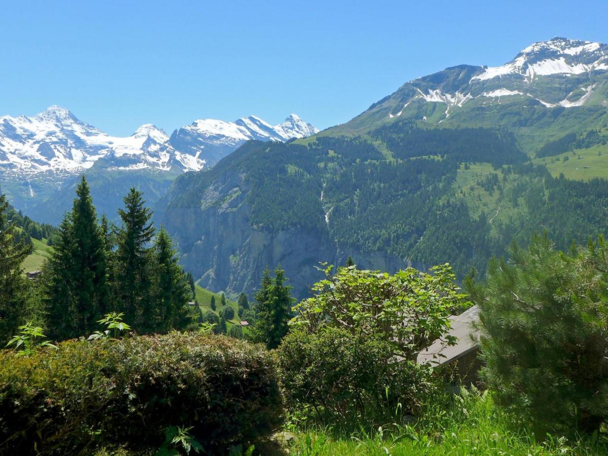 Chalet Zwaergli By Interhome Wengen Zewnętrze zdjęcie